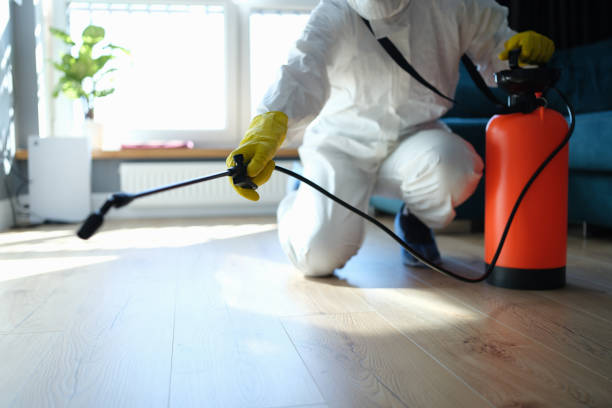Trusted Trauma Scene Cleanup service in Pahala, HI - Four Month Blood Cleanse